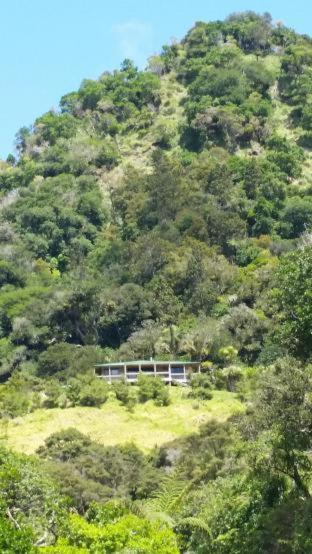 אופונוני Waiotemarama Falls Lodge מראה חיצוני תמונה